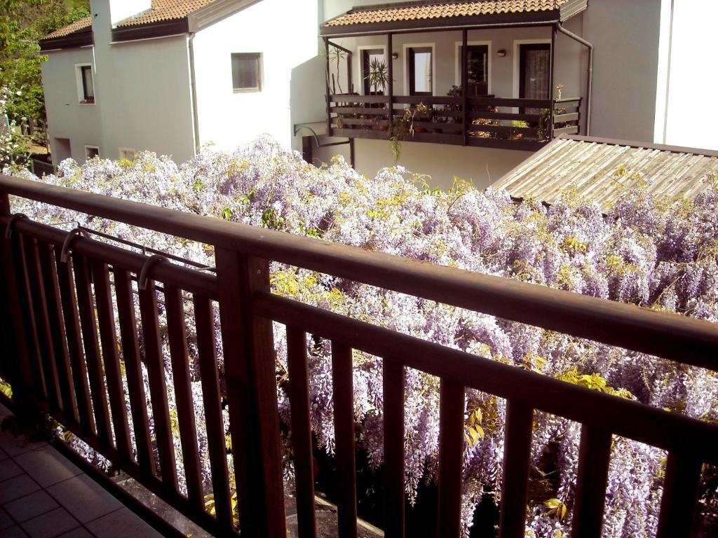 Hotel Faedo Pineta חדר תמונה