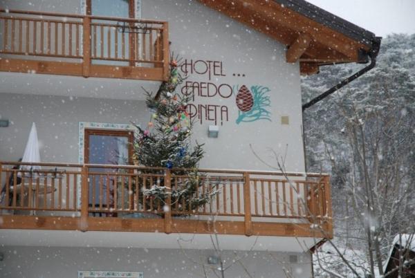 Hotel Faedo Pineta חדר תמונה