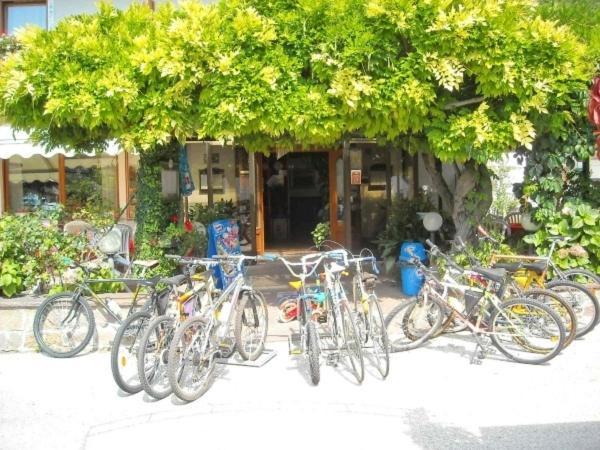 Hotel Faedo Pineta חדר תמונה