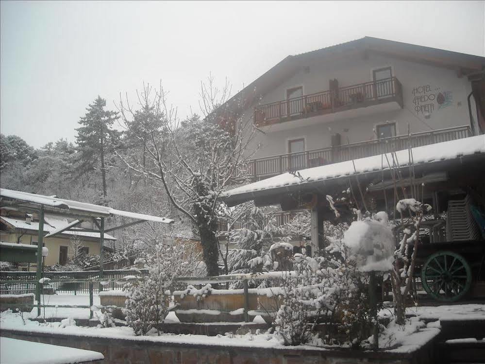 Hotel Faedo Pineta מראה חיצוני תמונה